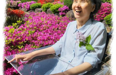 4월 27일 앞마당에 꽃이 만발하였습니다.